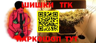 индика Аргун