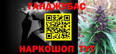 индика Аргун
