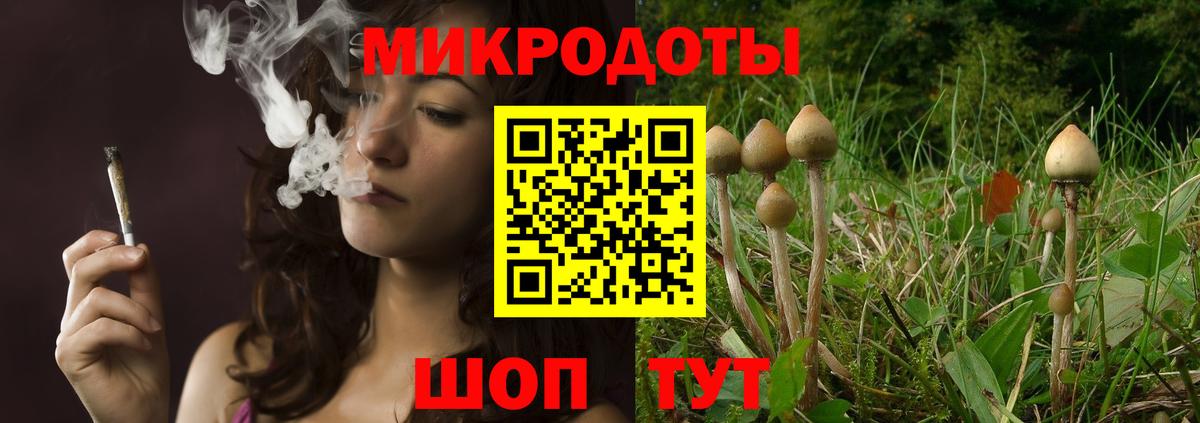 Псилоцибиновые грибы мицелий  Вход с VPN  Ачинск  Галлюциногенные грибы мицелий 